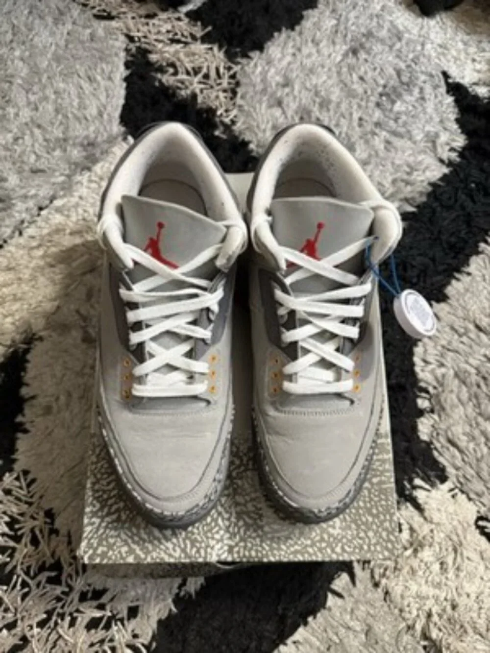 Air Jordan 3 Retro Cool Grey 2021 CT8532-012 Sz 10.5